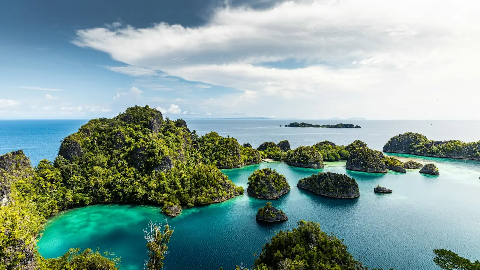 Raja Ampat Private Cruise — Raja Ampat